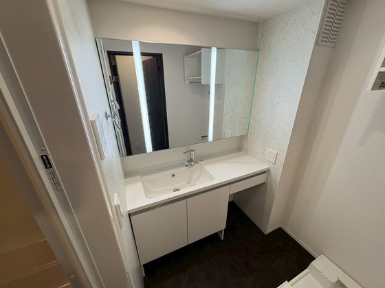 洗面設備　※参考イメージ　同メーカー施工物件の写真です