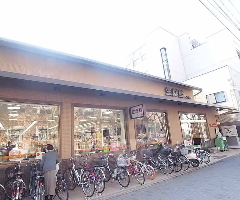スーパー　生鮮館なかむら白川店（スーパー）まで600m