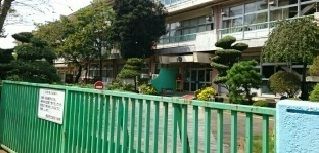 小学校　市立柳沢小学校（小学校）まで800m