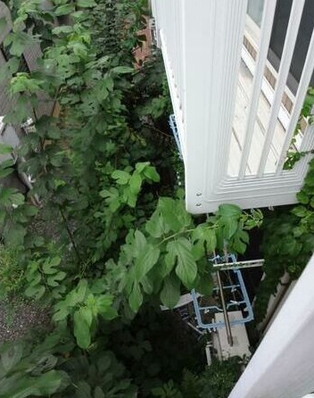 バルコニー　ベランダ