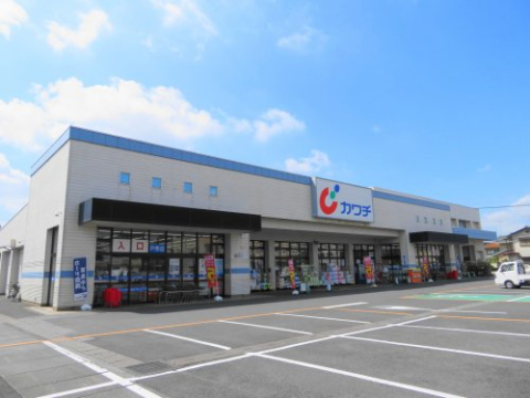 ドラックストア　カワチ薬品戸祭店（ドラッグストア）まで513m