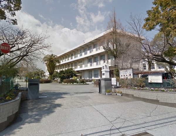 小学校　宮崎市立大淀小学校（小学校）まで243m