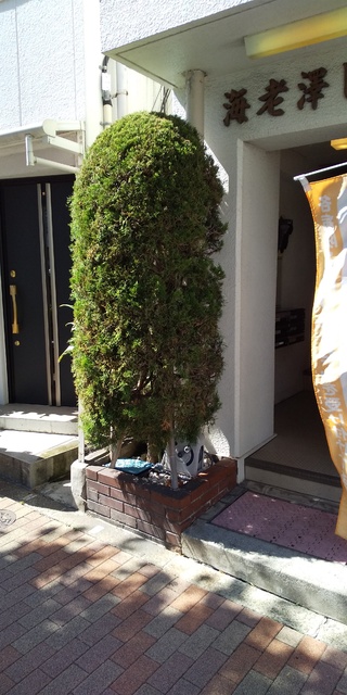 エントランス　◆建物入り口◆