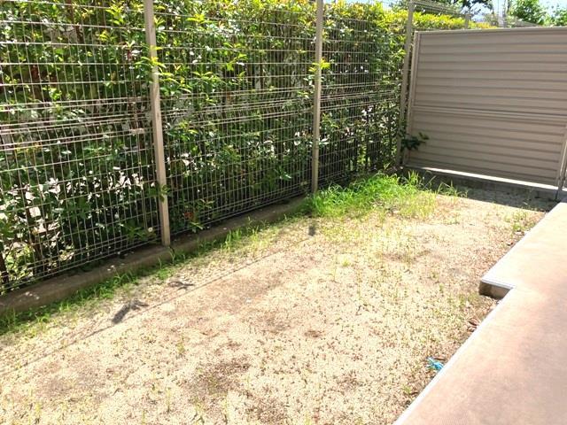 庭　お庭です