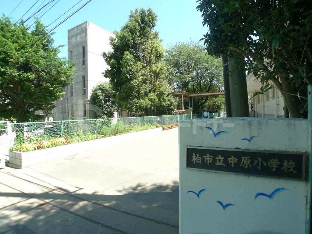 小学校　柏市立中原小学校（小学校）まで870m