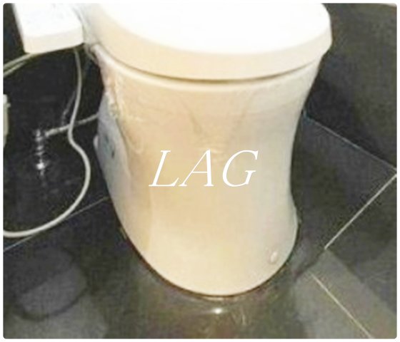 トイレ　トイレです。
