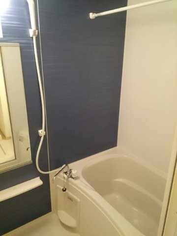 バス・シャワールーム　コンパクトで使いやすいお風呂です
