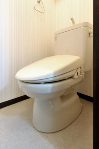 トイレ　参考写真（同物件別部屋）