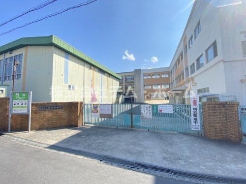 小学校　柏原市立柏原小学校（小学校）まで655m