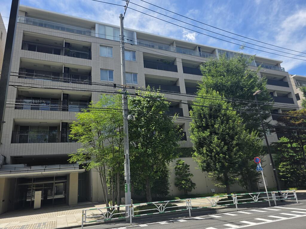 センチュリーフォレスト6