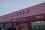 ドラックストア　コスモス車尾店（ドラッグストア）まで1300m