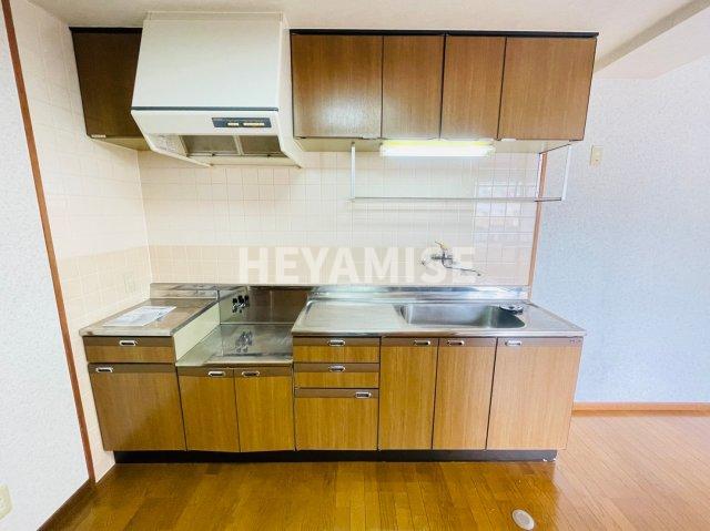 キッチン　※同物件反転タイプの写真でございます※現況を優先します※