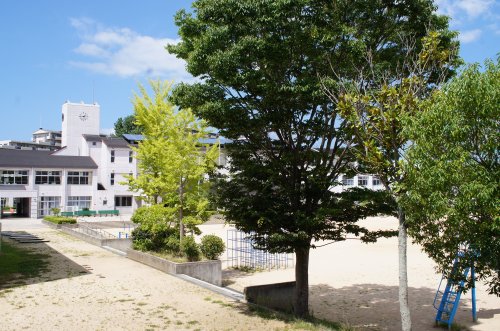小学校　三田市立狭間小学校（小学校）まで271m