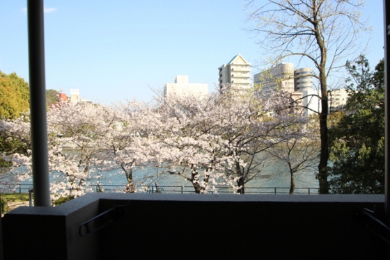 眺望　※別部屋の写真です