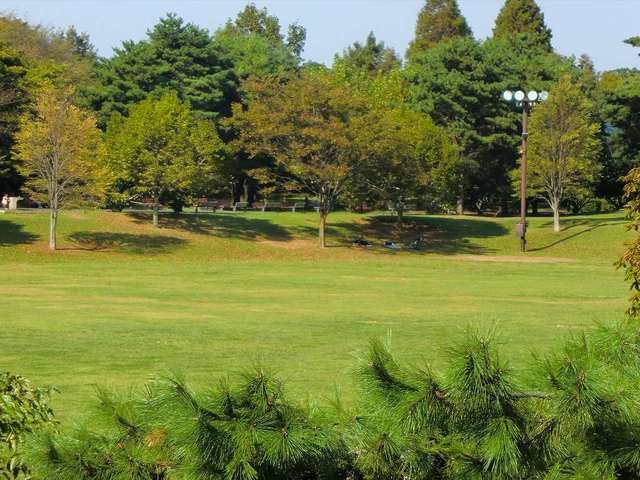 公園　県営樹林公園（公園）まで700m