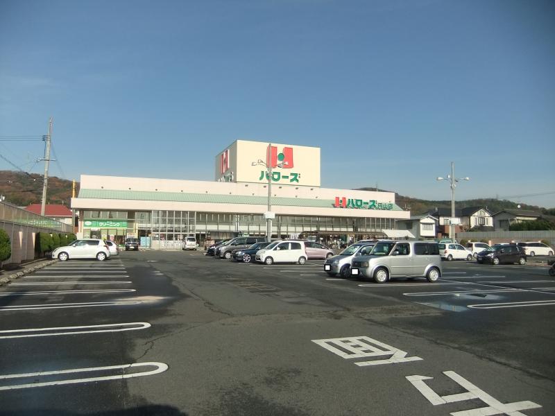 スーパー　ハローズ円山店（スーパー）まで564m