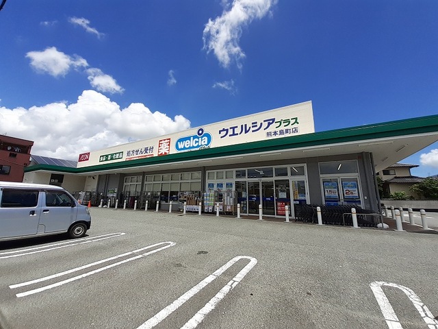 ドラックストア　ウェルシアプラス島町店（ドラッグストア）まで1000m