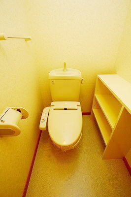 ＪＲ豊肥本線 熊本駅 徒歩37分 2階建 築22年のトイレ写真