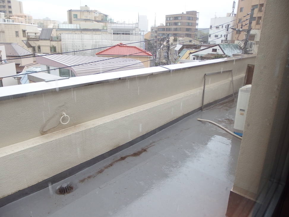 東京メトロ日比谷線 広尾駅 徒歩8分 4階建 築54年の内装写真