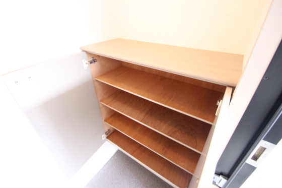 玄関　※別号室の写真です