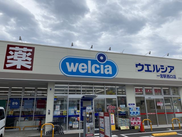 ドラックストア　ウエルシア（ドラッグストア）まで1100m