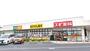 ドラックストア　スギ薬局 新所沢店（ドラッグストア）まで598m