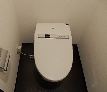 トイレ　※別部屋の参考写真です。