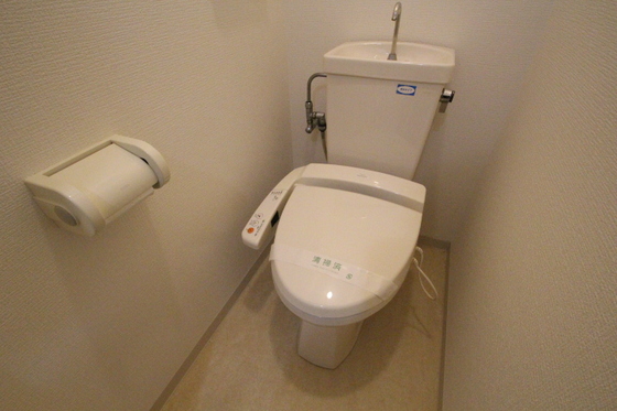 トイレ　※別号室の写真です