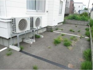 駐車場　お車の停めやすい青空駐車場です！