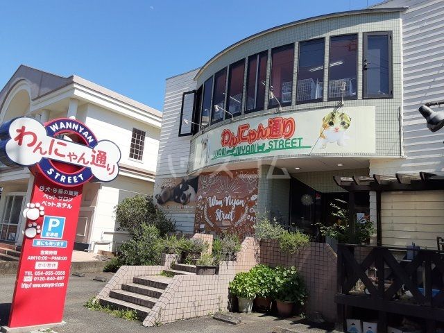 その他　わんにゃん通り（その他）まで319m