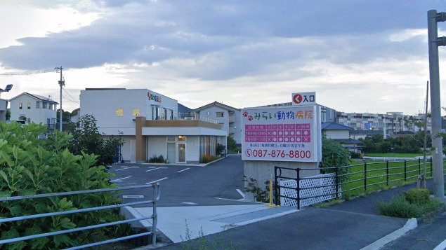 病院　みらい動物病院（病院）まで665m