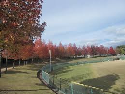 公園　三田谷公園（公園）まで1424m