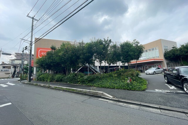 スーパー　ザ・ビッグ相模原東橋本店（スーパー）まで600m