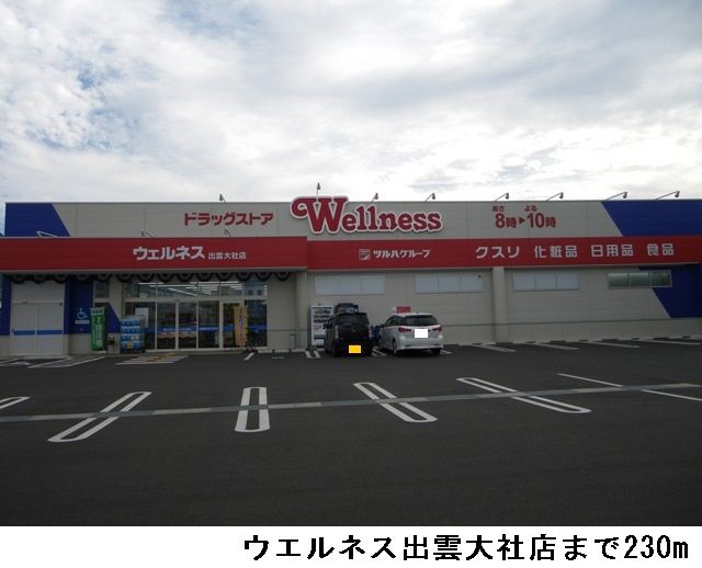ドラックストア　ウエルネス出雲大社店（ドラッグストア）まで230m