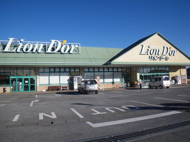 スーパー　リオン・ドール高根沢東店（スーパー）まで510m