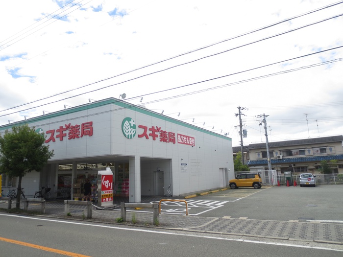 ドラックストア　スギ薬局 上ノ島店（ドラッグストア）まで700m