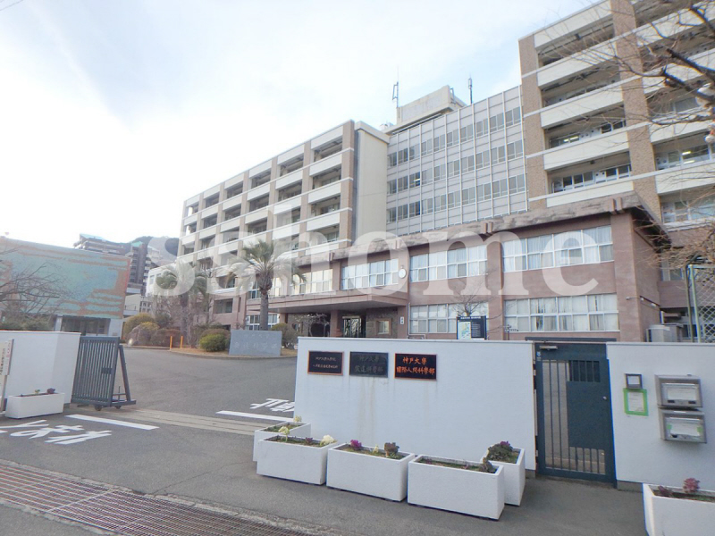 大学・短大　神戸大学（大学・短大）まで174m