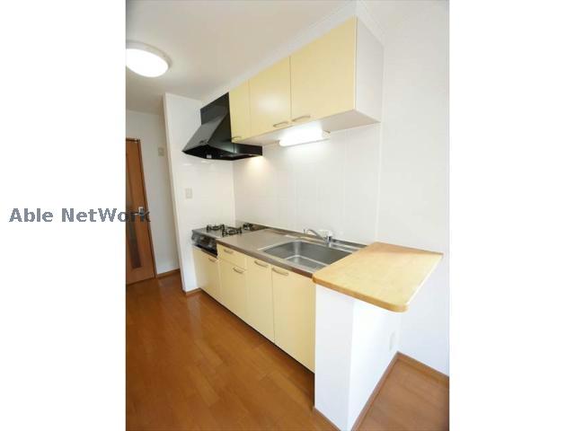 キッチン　※同型タイプです。（201）