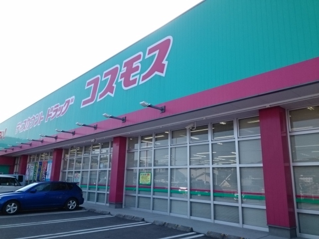 ドラックストア　コスモス堀江店（ドラッグストア）まで750m