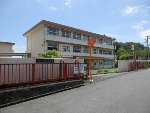 小学校　大津市立小野小学校（小学校）まで893m