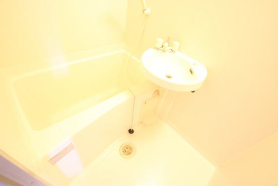 バス・シャワールーム　※別部屋の写真です