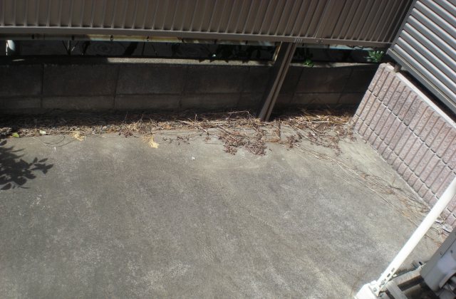 バルコニー　弊社は都内全域の物件をご紹介可能です！