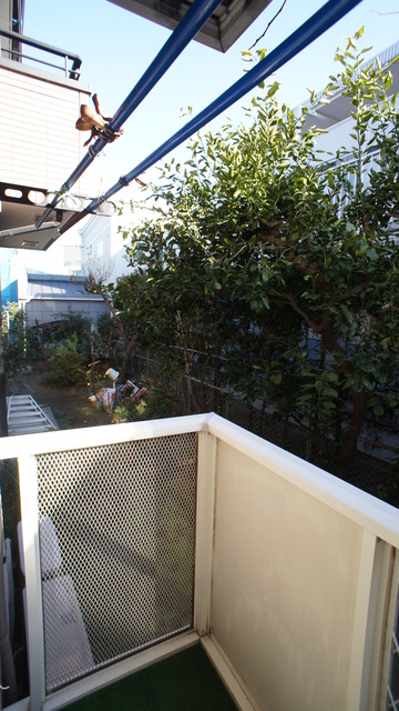 眺望　お部屋前には緑があるので、心癒されますね☆