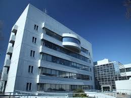 大学・短大　日本社会事業大学（大学・短大）まで1052m