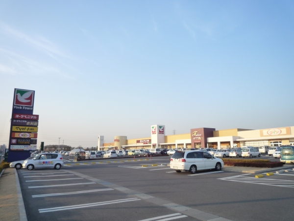 スーパー　ヨークベニマルひたちなか店（スーパー）まで350m