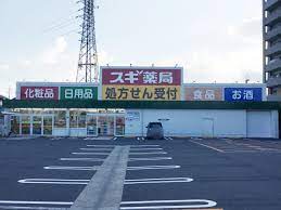 ドラックストア　スギ薬局草津大路店（ドラッグストア）まで715m