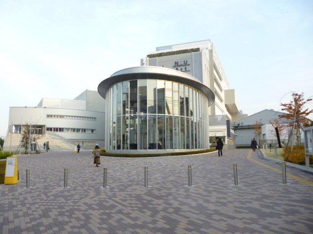 大学・短大　私立日本大学藝術学部（大学・短大）まで540m