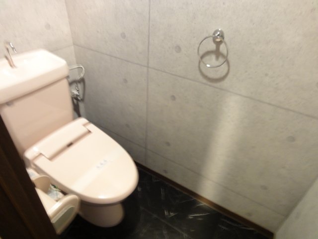 トイレ　同物件、別号室のものです。