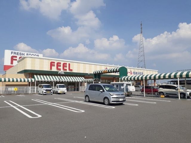 スーパー　フィール 岡崎大和店（スーパー）まで1200m