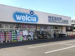 ドラックストア　ウエルシアつくば松代店（ドラッグストア）まで304m